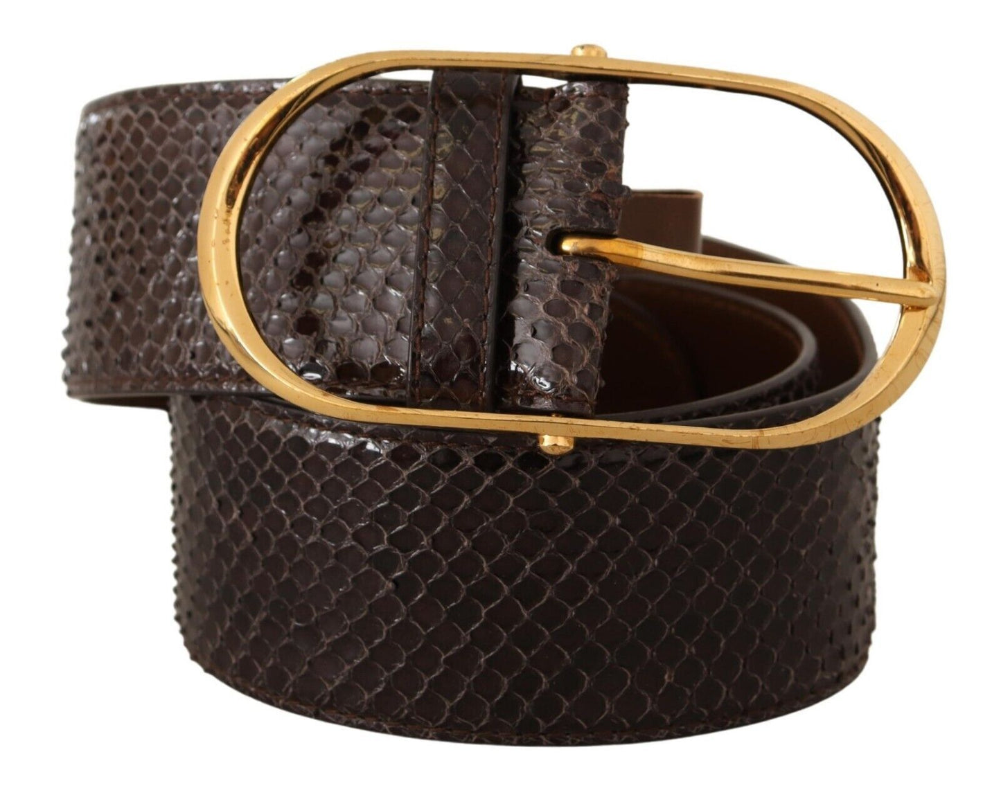 Dolce & Gabbana – Brauner Gürtel aus exotischem Leder mit ovaler Schnalle und Gold