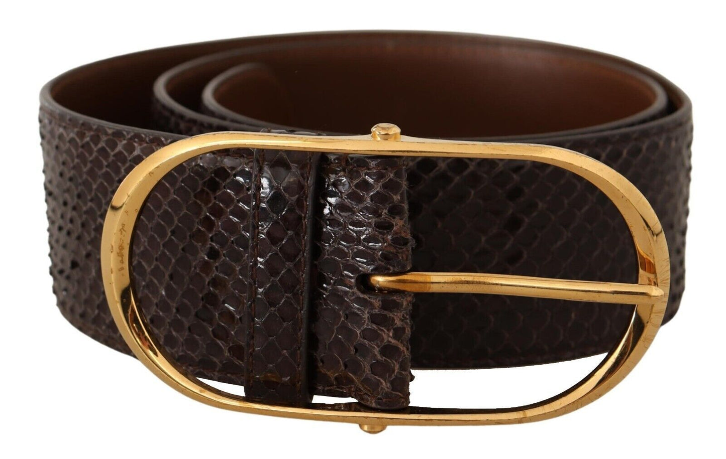 Dolce & Gabbana – Brauner Gürtel aus exotischem Leder mit ovaler Schnalle und Gold