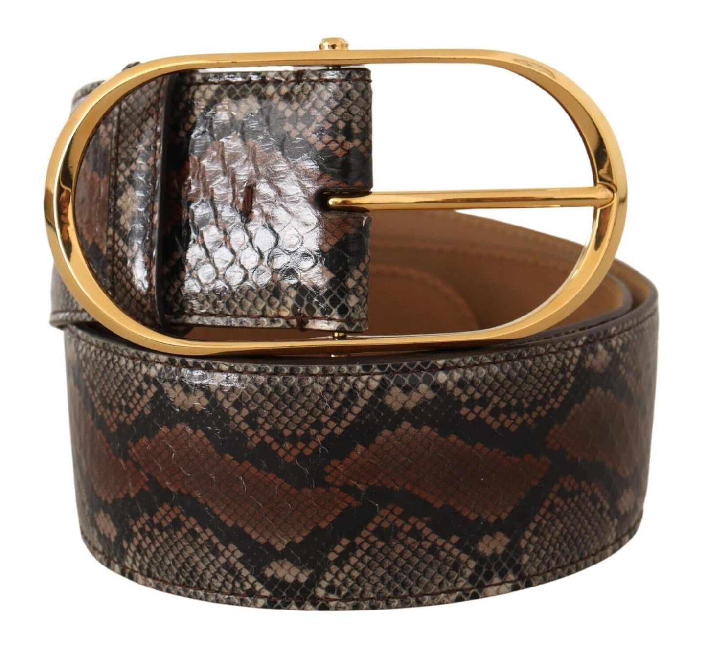 Dolce & Gabbana – Brauner Gürtel aus exotischem Leder mit ovaler Schnalle und Gold