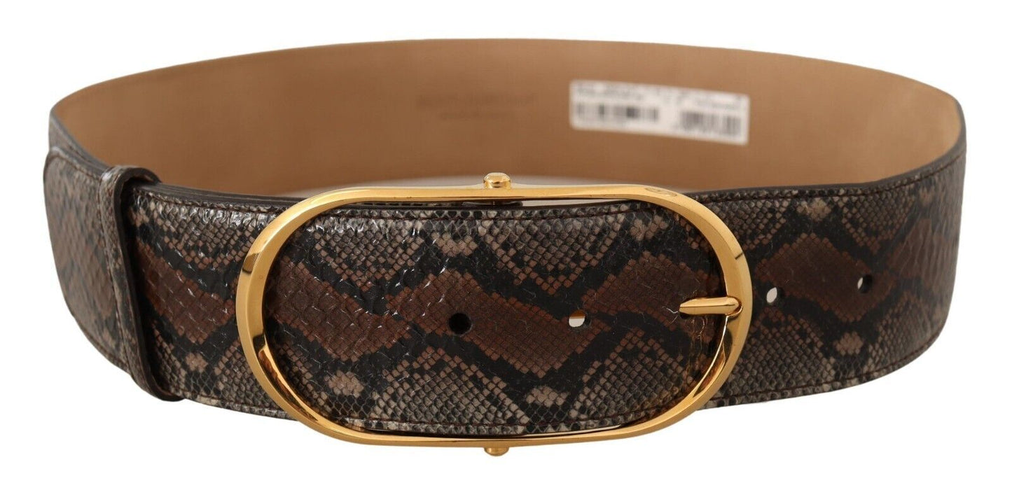 Dolce & Gabbana – Brauner Gürtel aus exotischem Leder mit ovaler Schnalle und Gold