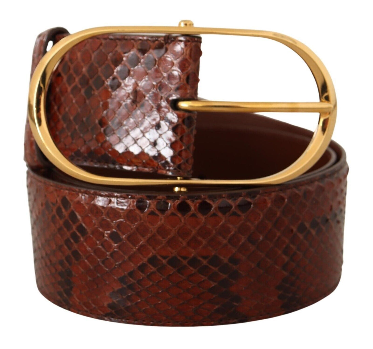 Dolce & Gabbana – Brauner Gürtel aus exotischem Leder mit ovaler Schnalle und Gold