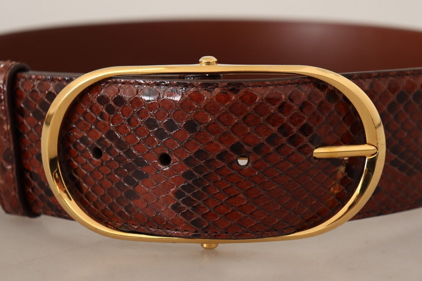 Dolce & Gabbana – Brauner Gürtel aus exotischem Leder mit ovaler Schnalle und Gold