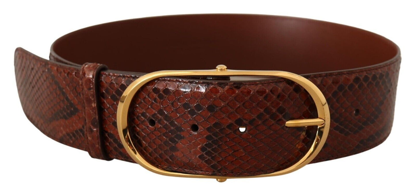 Dolce & Gabbana – Brauner Gürtel aus exotischem Leder mit ovaler Schnalle und Gold