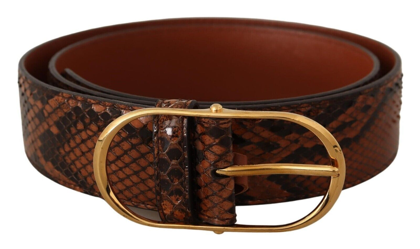 Dolce & Gabbana – Brauner Gürtel aus exotischem Leder mit ovaler Schnalle und Gold