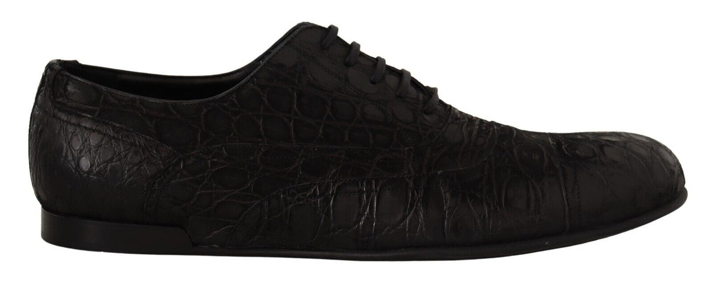 Dolce & Gabbana Herren Oxford-Schuhe aus schwarzem Kaimanleder