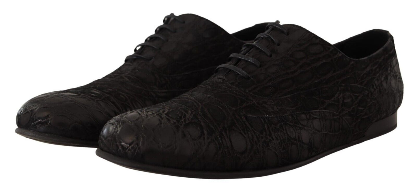 Dolce & Gabbana Herren Oxford-Schuhe aus schwarzem Kaimanleder