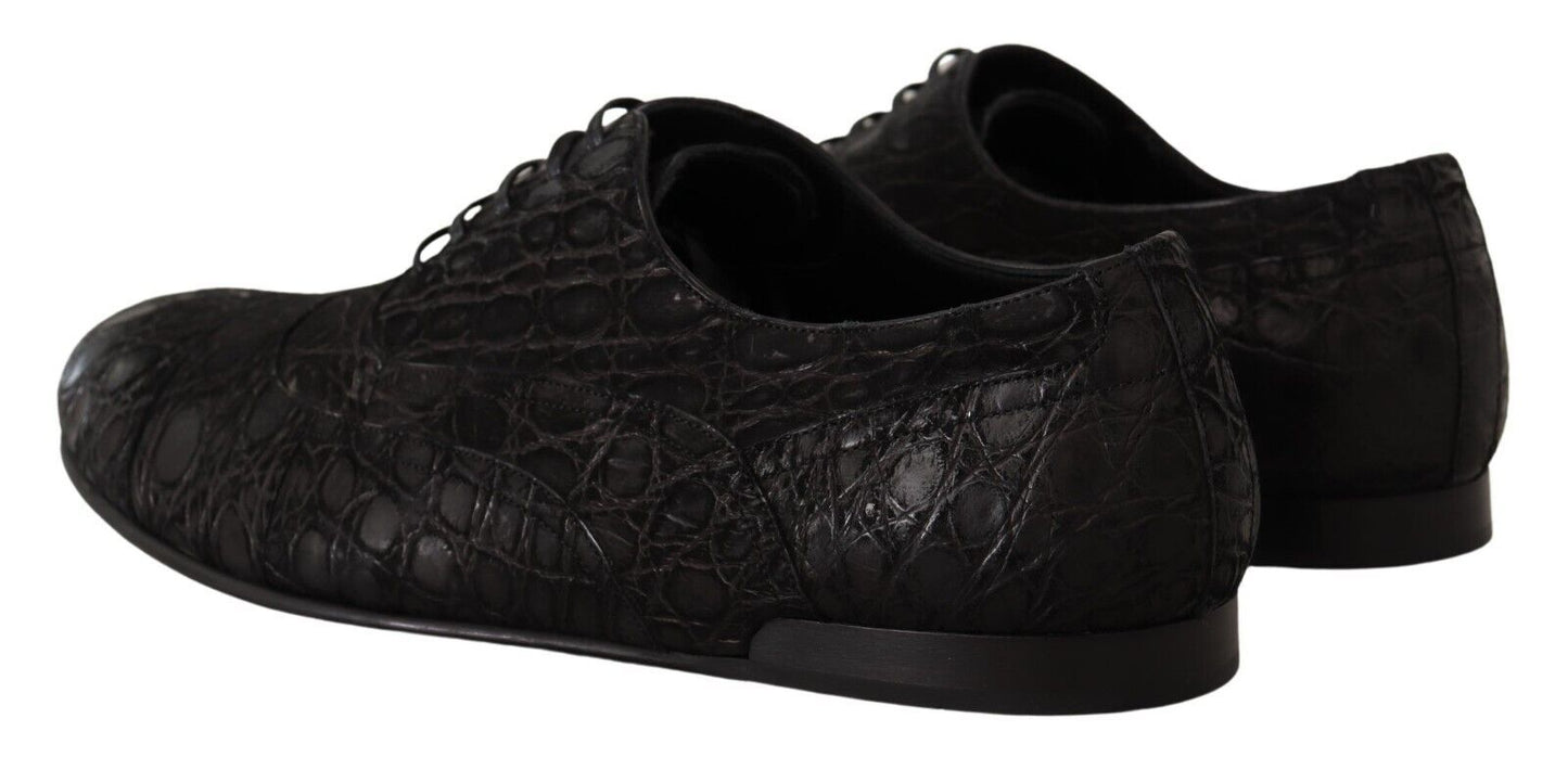 Dolce & Gabbana Herren Oxford-Schuhe aus schwarzem Kaimanleder