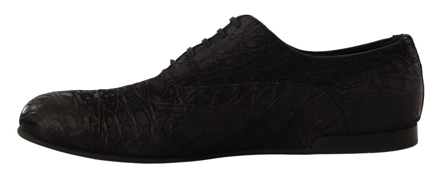 Dolce & Gabbana Herren Oxford-Schuhe aus schwarzem Kaimanleder