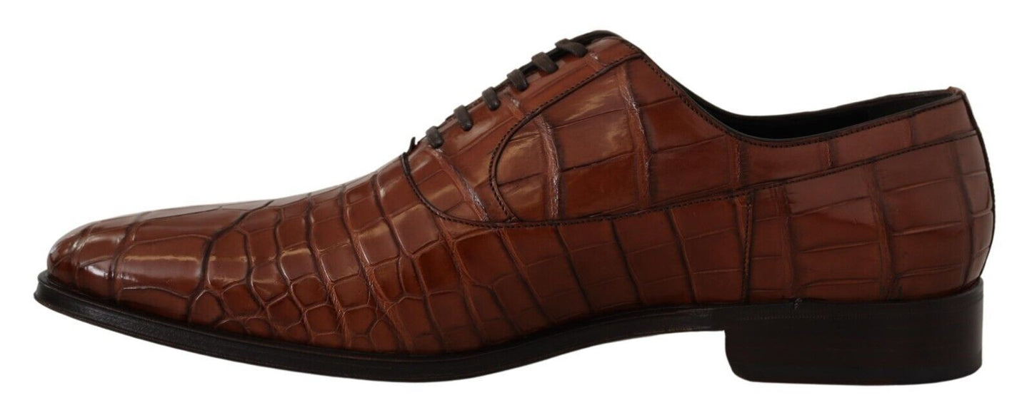 Dolce & Gabbana – Formelle Derby-Schuhe für Herren aus braunem Krokodilleder