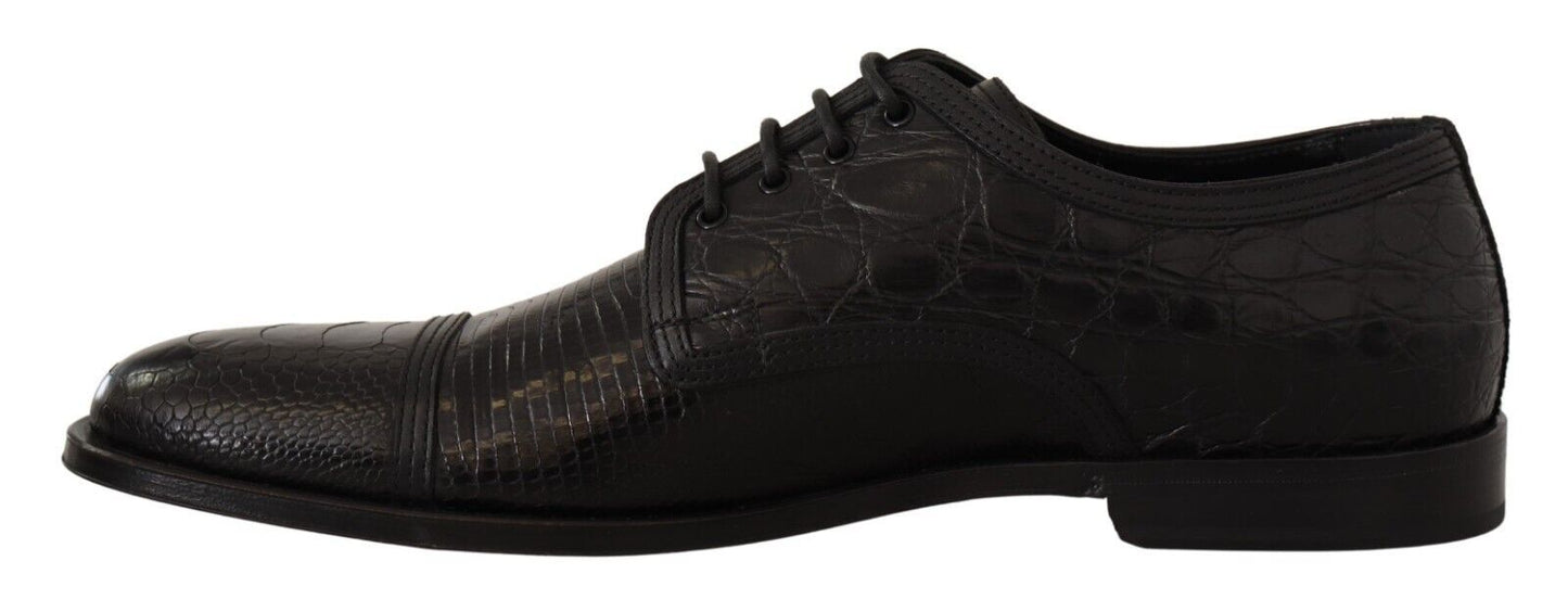 Dolce & Gabbana – Formelle Derby-Schuhe aus schwarzem Exotenleder mit Schnürung