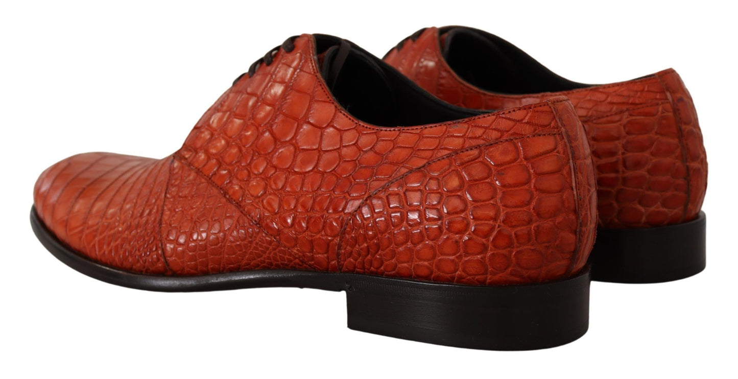 Dolce & Gabbana – Orangefarbene Derby-Schuhe aus exotischem Leder