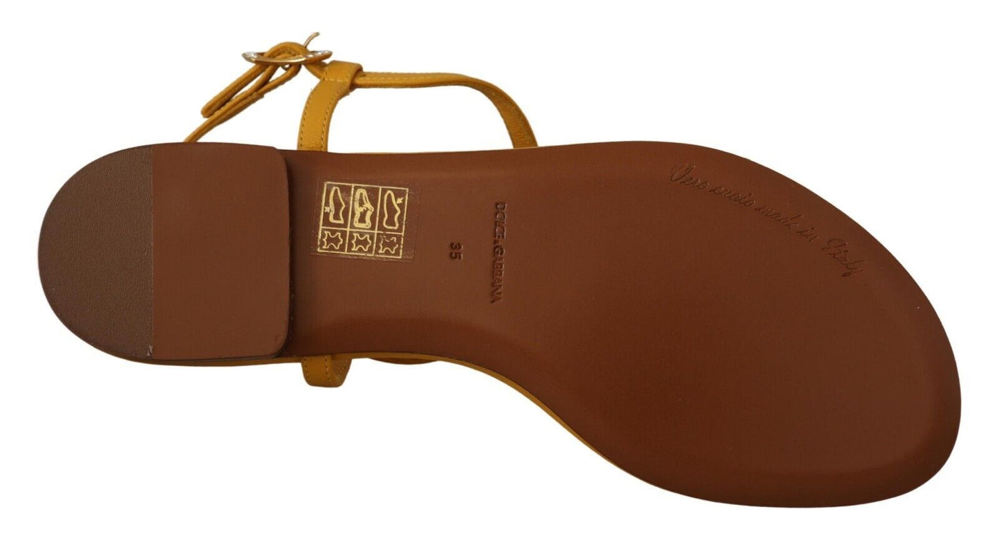 Dolce & Gabbana – Devotion – Flache Sandalen aus senffarbenem Leder