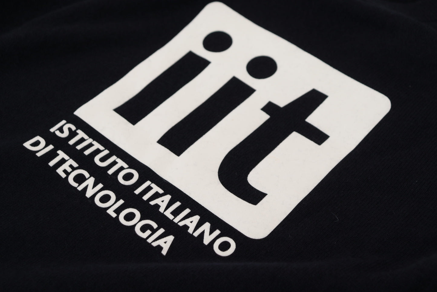 Dolce & Gabbana Blauer Pullover aus Kaschmir mit iit-Print