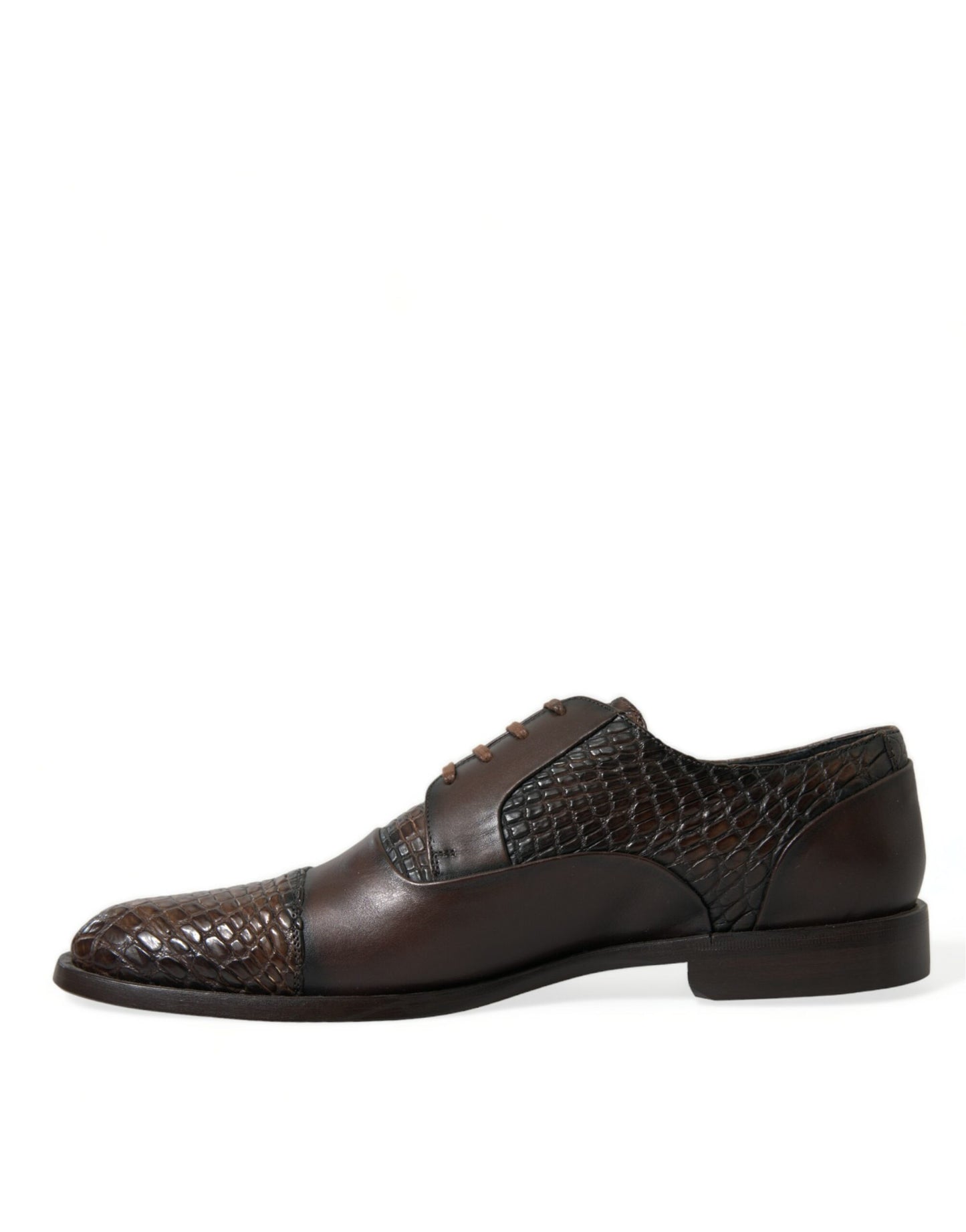 Dolce & Gabbana – Oxford-Schnürschuhe aus exotischem Leder in Braun