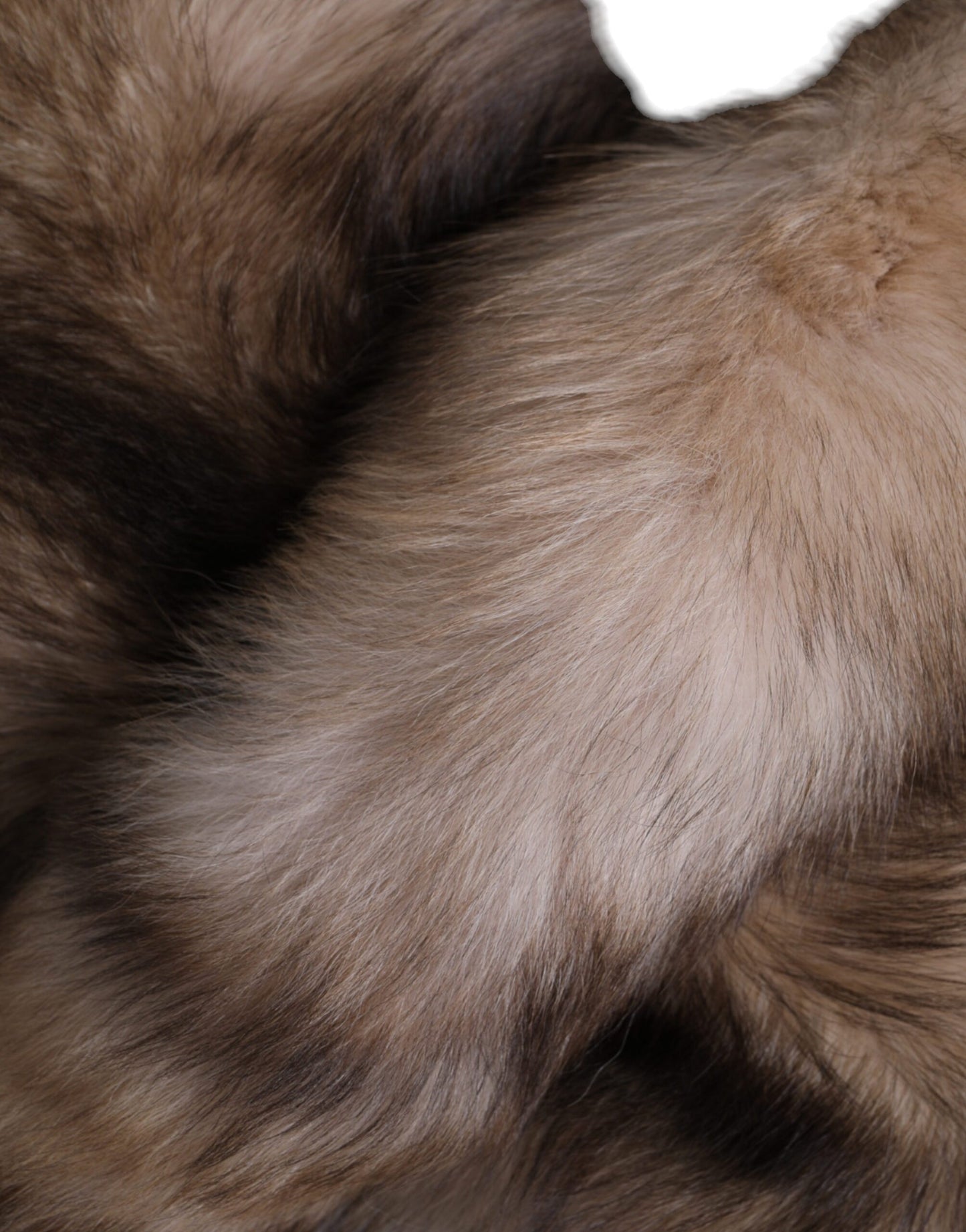 Dolce & Gabbana Brauner Frost Fuchspelz-Halswärmer-Winterschal