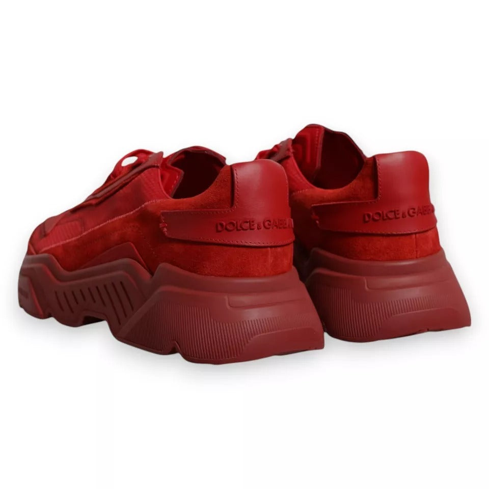Dolce & Gabbana Rote Daymaster Low Top Sneakers aus Leder