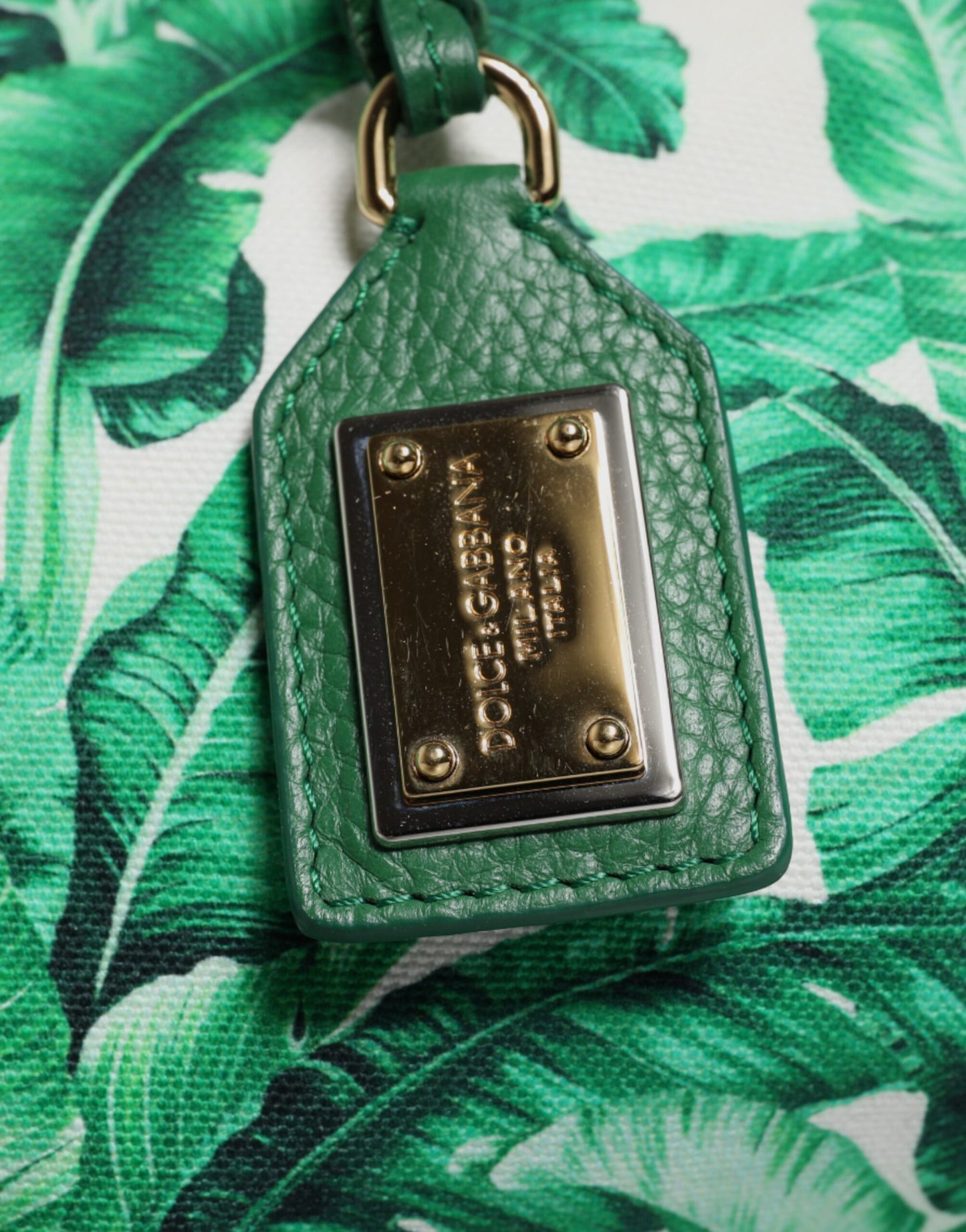 Dolce & Gabbana Grüne Canvas-Tragetasche „Botanischer Garten“ für Damen