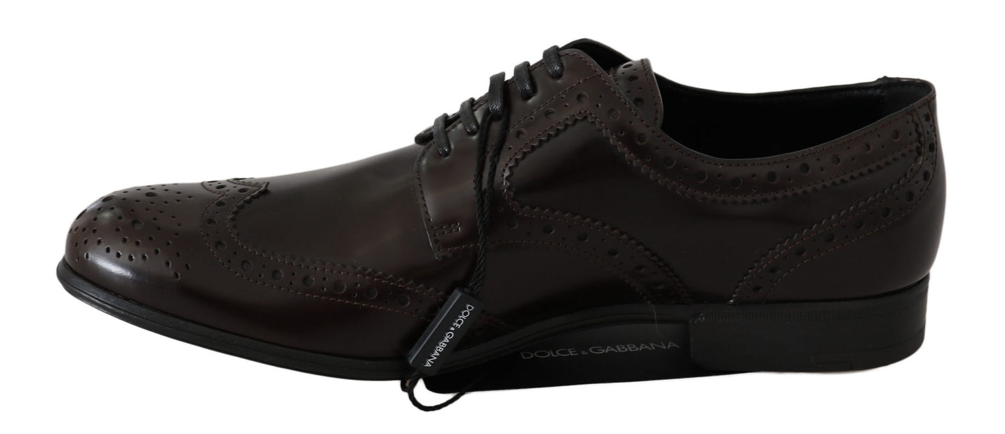 Dolce & Gabbana – Broques-Oxford-Schuhe aus braunem Leder mit Flügelkappe