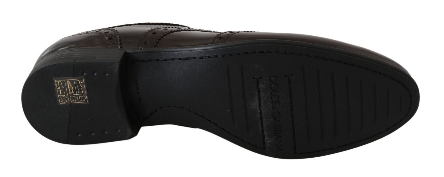 Dolce & Gabbana – Broques-Oxford-Schuhe aus braunem Leder mit Flügelkappe