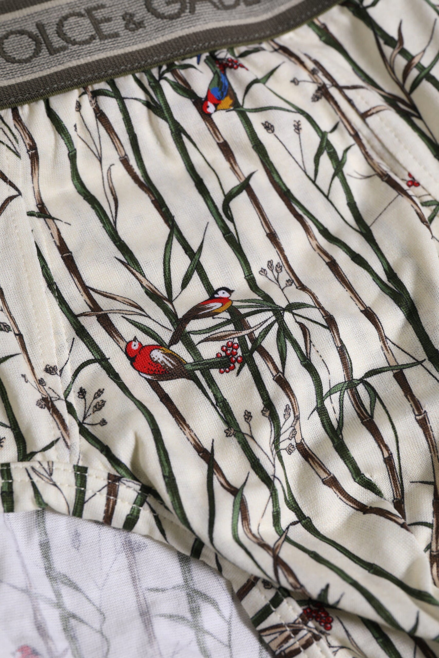 Dolce & Gabbana – Slip aus Baumwolle mit elfenbeinfarbenem Vogelprint