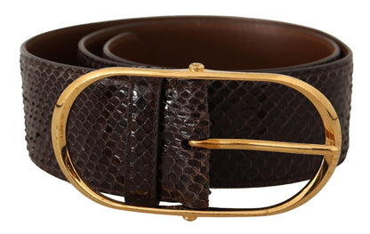 Dolce &amp; Gabbana – Brauner Gürtel aus exotischem Leder mit ovaler Schnalle und Gold