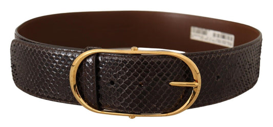 Dolce &amp; Gabbana – Brauner Gürtel aus exotischem Leder mit ovaler Schnalle und Gold