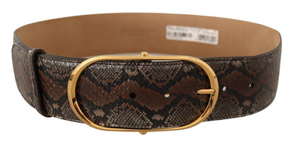 Dolce &amp; Gabbana – Brauner Gürtel aus exotischem Leder mit ovaler Schnalle und Gold