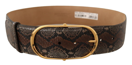 Dolce &amp; Gabbana – Brauner Gürtel aus exotischem Leder mit ovaler Schnalle und Gold