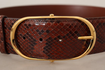 Dolce &amp; Gabbana – Brauner Gürtel aus exotischem Leder mit ovaler Schnalle und Gold