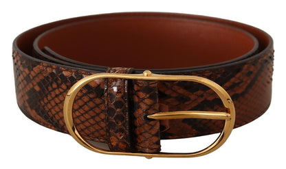 Dolce &amp; Gabbana – Brauner Gürtel aus exotischem Leder mit ovaler Schnalle und Gold