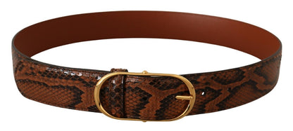 Dolce &amp; Gabbana – Brauner Gürtel aus exotischem Leder mit ovaler Schnalle und Gold