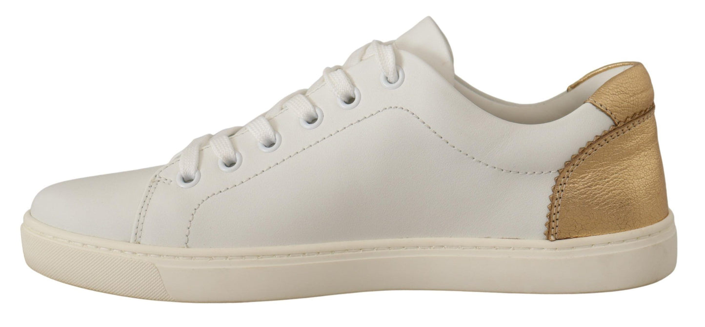 Dolce &amp; Gabbana – Niedrige Sneakers aus weißem und goldenem Leder