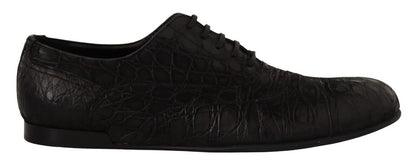 Dolce &amp; Gabbana Herren Oxford-Schuhe aus schwarzem Kaimanleder