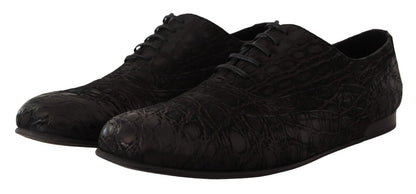 Dolce &amp; Gabbana Herren Oxford-Schuhe aus schwarzem Kaimanleder