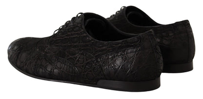 Dolce &amp; Gabbana Herren Oxford-Schuhe aus schwarzem Kaimanleder