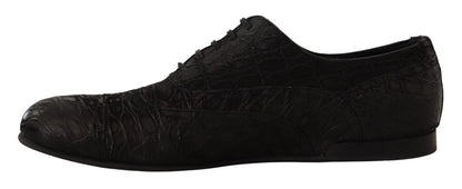 Dolce &amp; Gabbana Herren Oxford-Schuhe aus schwarzem Kaimanleder