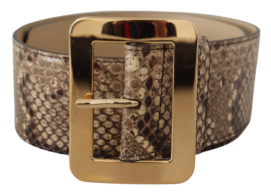 Dolce &amp; Gabbana – Brauner, exotischer, breiter Ledergürtel mit goldener Metallschnalle