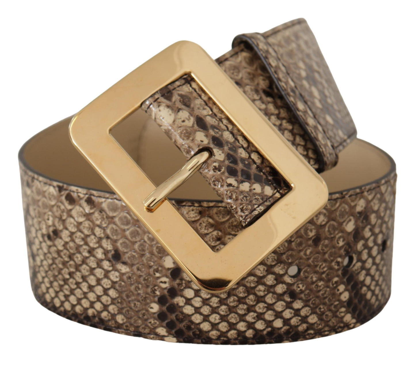 Dolce &amp; Gabbana – Brauner, exotischer, breiter Ledergürtel mit goldener Metallschnalle