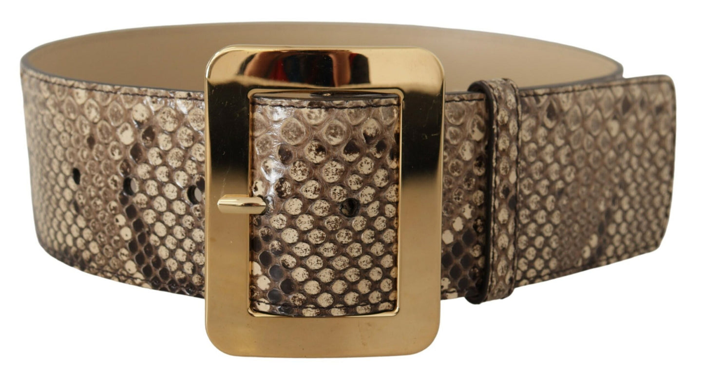 Dolce &amp; Gabbana – Brauner, exotischer, breiter Ledergürtel mit goldener Metallschnalle