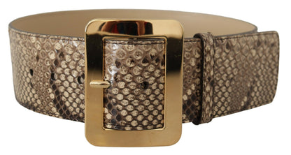 Dolce &amp; Gabbana – Brauner, exotischer, breiter Ledergürtel mit goldener Metallschnalle