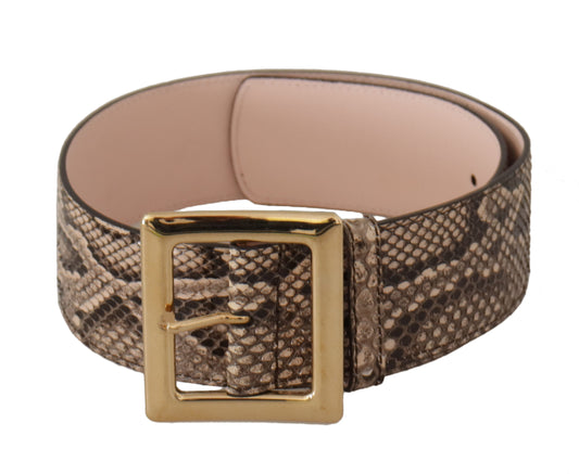 Dolce &amp; Gabbana – Breiter Gürtel aus exotischem Leder in Beige mit goldener Metallschnalle