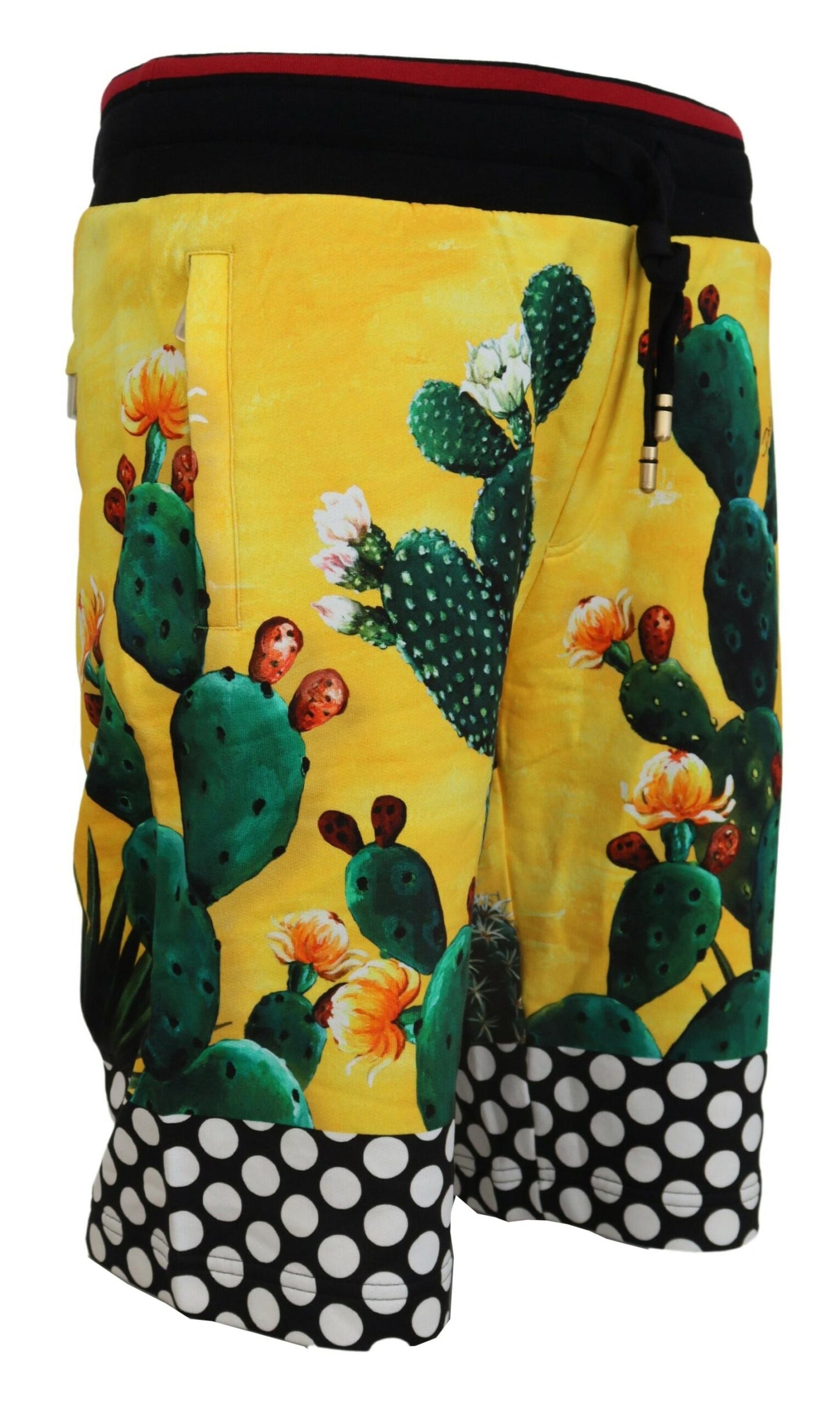 Dolce &amp; Gabbana – Mehrfarbige Sweatshorts aus Baumwolle mit Kaktus-Print