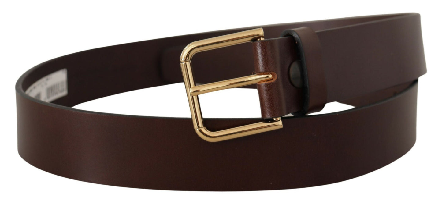 Dolce &amp; Gabbana Brown Plain Calf Leather Gold Tone Buckle Belt