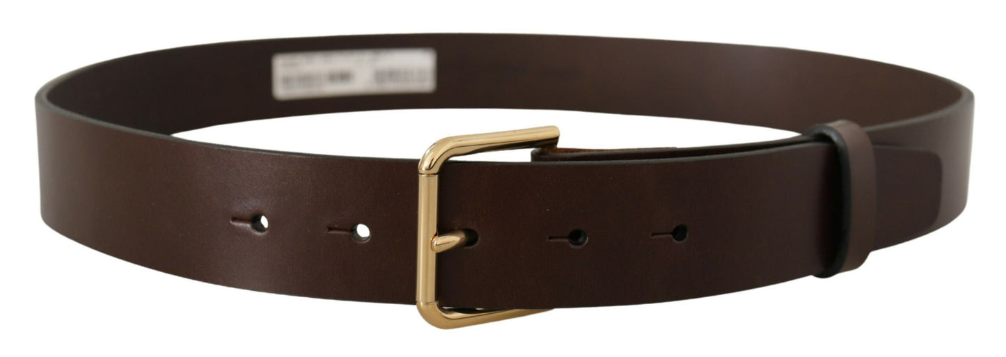 Dolce &amp; Gabbana Brown Plain Calf Leather Gold Tone Buckle Belt
