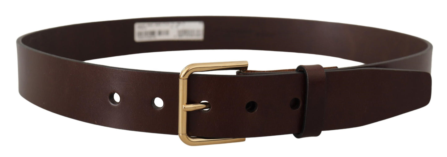 Dolce &amp; Gabbana Brown Polished Leather Gold Tone Metal Buckle Belt