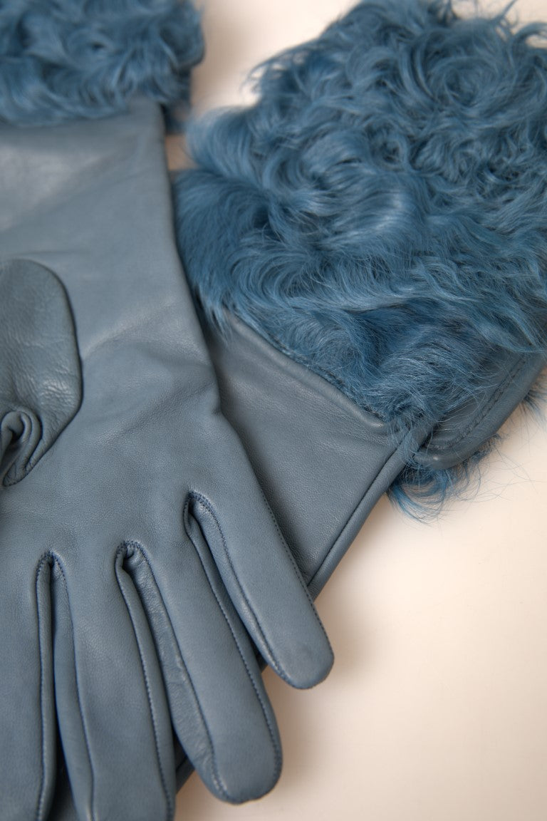 Dolce &amp; Gabbana, blaue Lederpelzhandschuhe in Mittellänge