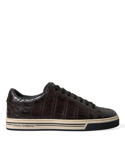 Dolce &amp; Gabbana Braun Krokodil Exotisches Leder Männer Casual Sneakers Schuhe