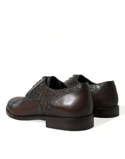 Dolce &amp; Gabbana – Oxford-Schnürschuhe aus exotischem Leder in Braun