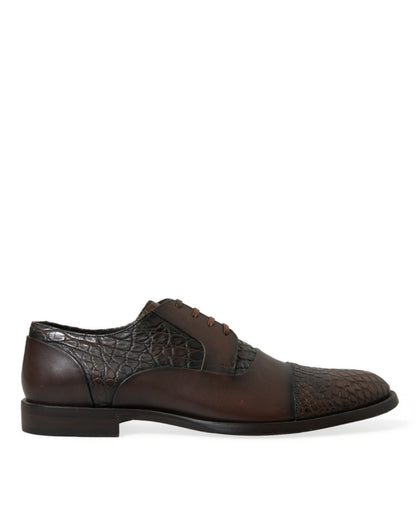 Dolce &amp; Gabbana – Oxford-Schnürschuhe aus exotischem Leder in Braun