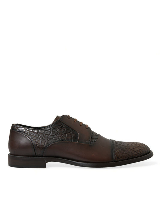 Dolce &amp; Gabbana – Oxford-Schnürschuhe aus exotischem Leder in Braun